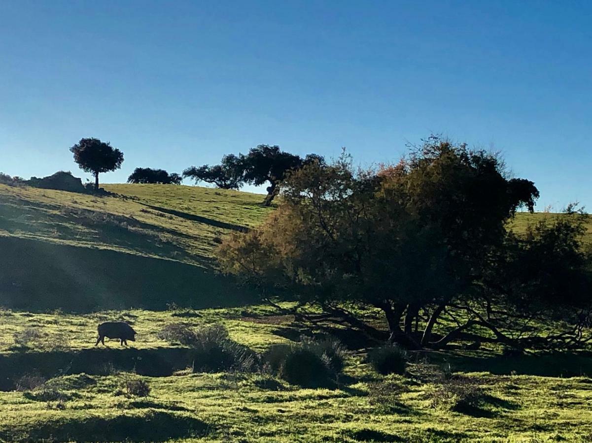 La Hermandad De Villalba Villalba de los Barros Dış mekan fotoğraf
