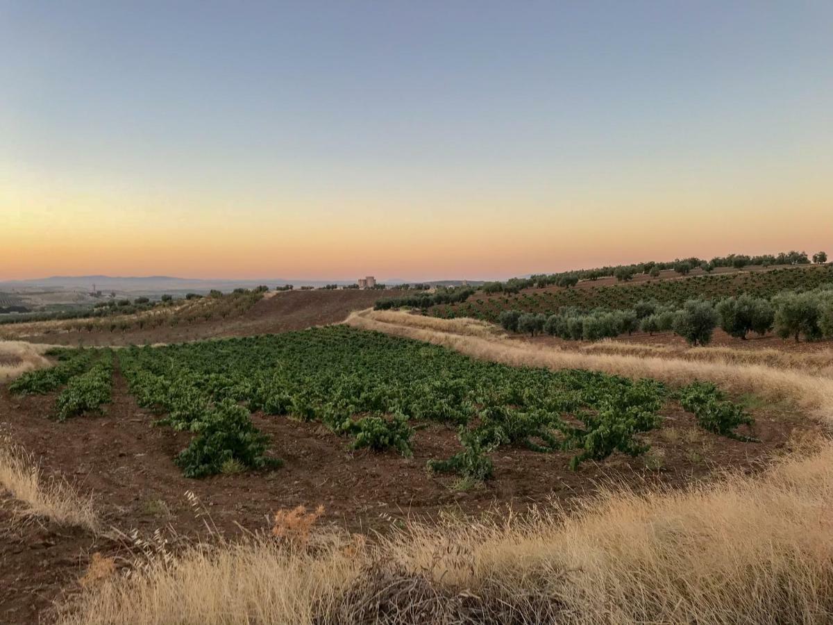 La Hermandad De Villalba Villalba de los Barros Dış mekan fotoğraf