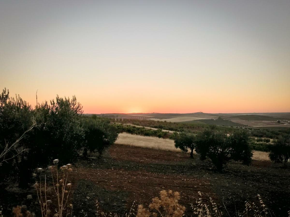 La Hermandad De Villalba Villalba de los Barros Dış mekan fotoğraf